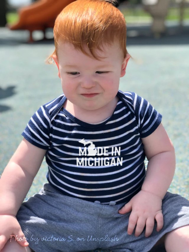 Made in Michigan Onesie